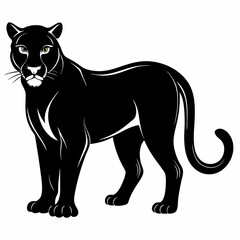 cougar silhouette , cougar  silhouette on a white background ,black color  cougar silhouette