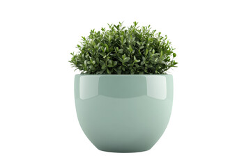 Minimalist potted plant in a sleek green pot over a transparent background. Perfect for interior decoration, home offices, and modern spaces.
