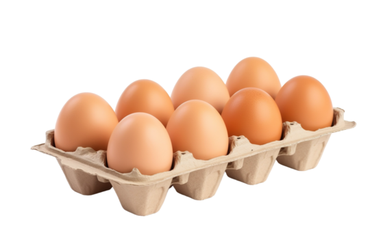 Freshly Gathered Brown Eggs Resting in a Cardboard Carton Under Soft Morning Light on Transparent PNG Background..