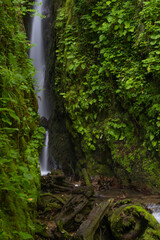 waterfall in the forest