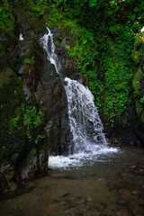 Fototapeta premium waterfall in the forest