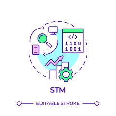 STM multi color concept icon. Server downtime, application performance. Software code. Round shape line illustration. Abstract idea. Graphic design. Easy to use in infographic, presentation