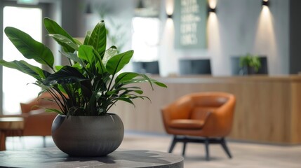 Fototapeta premium A stylish modern lobby featuring a potted plant and a comfortable brown leather chair, highlighting a contemporary aesthetic with a focus on natural elements and minimalism.
