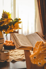 Girl reading bible, home evening atmosphere