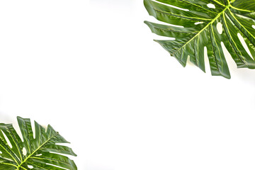 Faux Monstera Leave