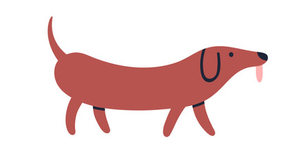Cute funny Dachshund breed. Adorable wiener sausage dog walking. Long doggy strolling. Lovely kawaii puppy, canine animal, tongue out, profile. Flat vector illustration isolated on white background