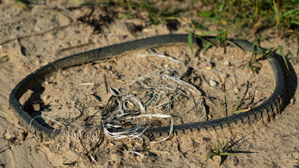 Rubber, automobile belt of the generator lies on the road sprinkled with sand
