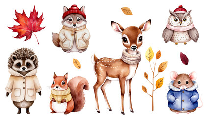 Fototapeta premium Deer, squirrel, owl, wolf, mouse, hedgehog. Set of watercolor woodland animals in clothes. Autumnal leaves.