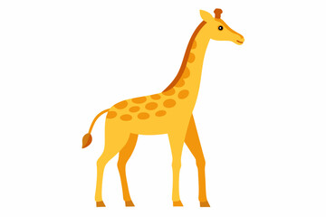 Fototapeta premium A cute Giraffe vector illustration