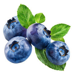 Blueberries fruits with leaves branch clip art