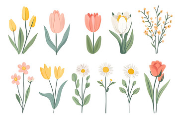 Set of hand-drawn bouquet of spring flowers isolated on white background. Floral composition. illustration