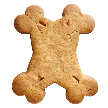 recommend clip art: Bone shape dog cookie clip art