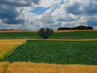 Landschaft bei Vordingborg in Dänemark