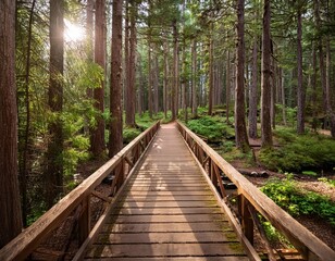 Obraz premium A Serene Forest Path