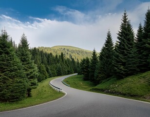 Serpentine Mountain Road