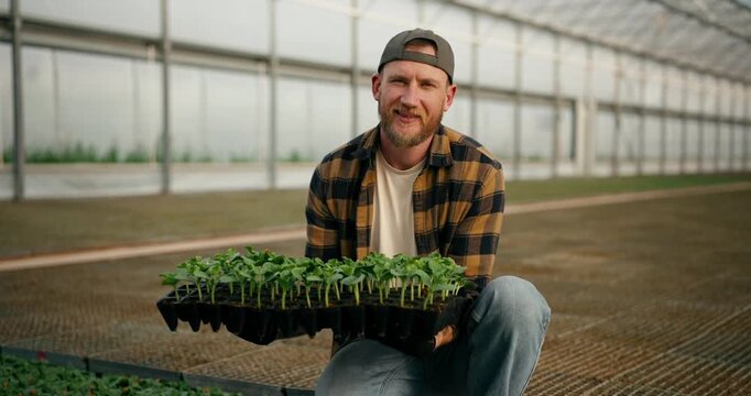 Portrait of a happy guy farmer in a cap in a plaid shirt who holds seedlings of young plants in his hands in a greenhouse on the farm