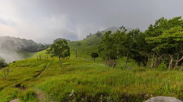 霧の登山道