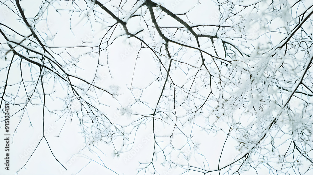Aufkleber frost-covered branches stretch across a pale sky creating a serene winter scene with intricate detai