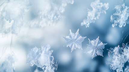 Delicate snowflakes glisten against a soft blue background, showcasing intricate patterns and textures that highlight the beauty of winter's frozen art