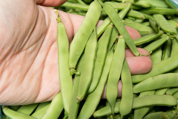 green ripe green beans in a bag