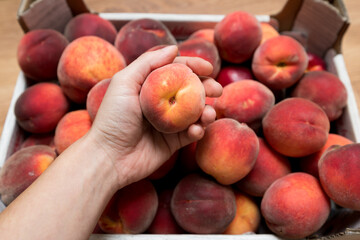 Ripe and juicy peaches in a box