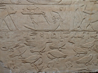 Animals Relief from the interior of the Tomb of Kagemni Egypt