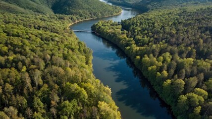  Aerial view of river in forested hills 