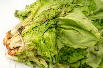 unhealthy bunch of lettuce getting rotten