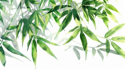 Fototapeta premium An artistic depiction of a cluster of bamboo leaves painted in watercolor against a white background. The green leaves are depicted in detail, capturing the texture and shape of the plant. The image i