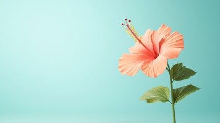 Fototapeta premium Playful Cartoon Hibiscus Flower in 3D Render Isolated on Bright Background with Copy Space - Ideal for Summer Promotions and Floral Illustrations