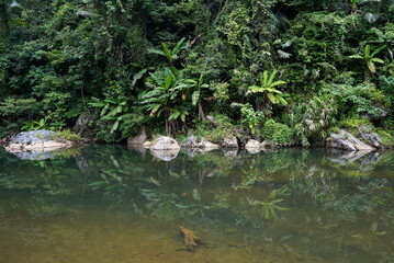 Beautiful landscape with mirroring jungle in the water at Phong-Nha-ke-Bang National Park, Vietnam