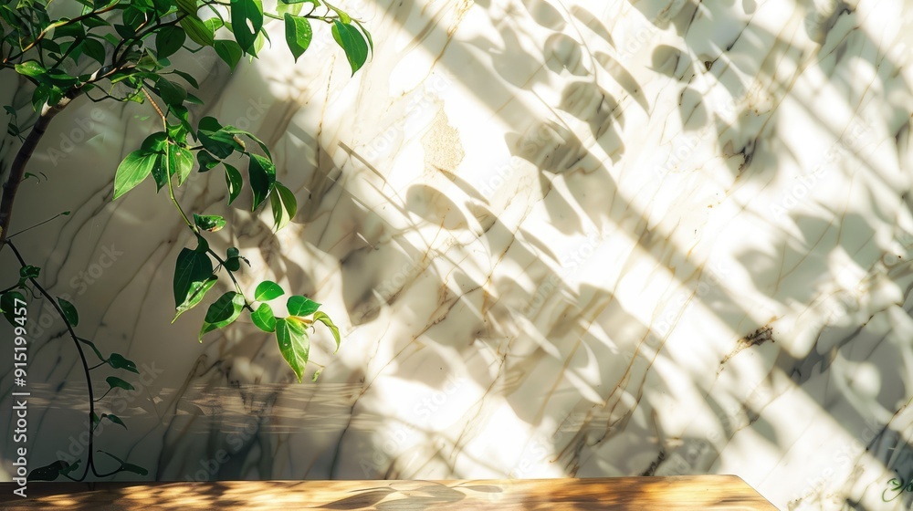 Poster Green leaves in sunlight casting shadows on marble wall and wood table.