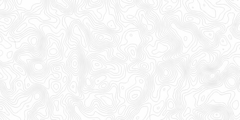 Obraz premium White wave paper curved reliefs abstract background. The topographic map contour in lines isolated. Abstract white topographic map background with lines. Background of the topography map.