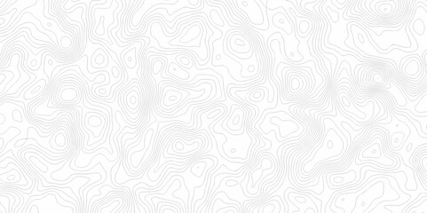 White wave paper curved reliefs abstract background. The topographic map contour in lines isolated. Abstract white topographic map background with lines. Background of the topography map.