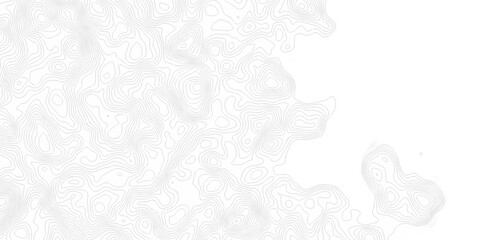 White wave paper curved reliefs abstract background. The topographic map contour in lines isolated. Abstract white topographic map background with lines. Background of the topography map.