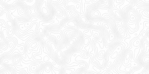 White wave paper curved reliefs abstract background. The topographic map contour in lines isolated. Abstract white topographic map background with lines. Background of the topography map.