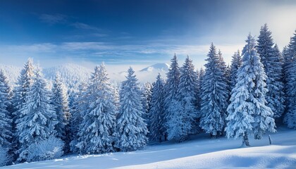 Frosted landscape with snow-covered trees