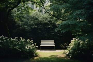 Park garden nature outdoors woodland.