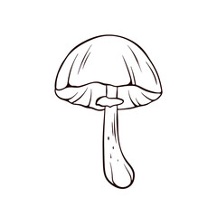 Simple line drawing of an Autumn Skullcap mushroom. The mushrooms smooth cap, gills, and slender stem. Vector illustration isolated on a white background.