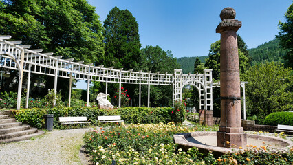 Rosarium im Kurpark Bad Wildbad