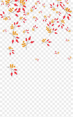 Green Foliage Background Transparent Vector. Leaves Organic Design. Pink Herb Decor. Outline Set. Berries Border.