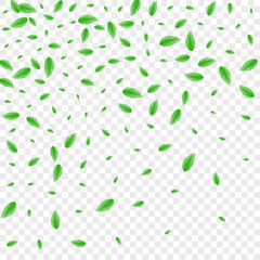 Green Leaves Background Transparent Vector. Plant Border Texture. Life Frame. Greenish Decorative Illustration. Vegetation Motion.