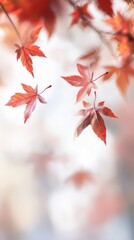 Autumn maple leaves background, fall backdrop	