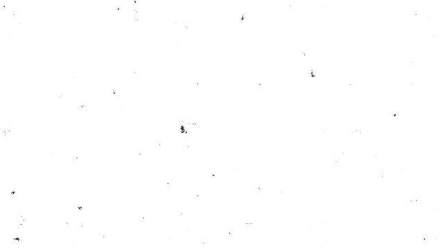 film grain overray