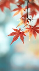 Autumn maple leaves background, fall backdrop