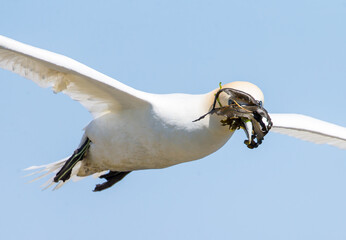 Flying blind