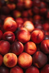 Pile of fresh organic peaches