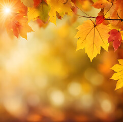 Fototapeta premium autumn leaves on the ground and background. soft background.
