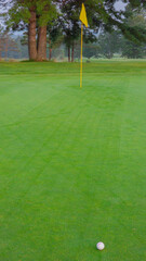 Obraz premium Golf ball ready for birdy on a pretty Canadian golf course