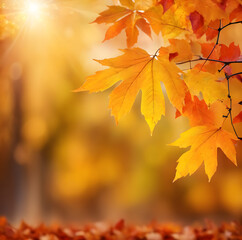 autumn leaves on the ground and background. soft background.